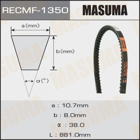 Drive V-Belt Masuma, 10x881 mm, 1350