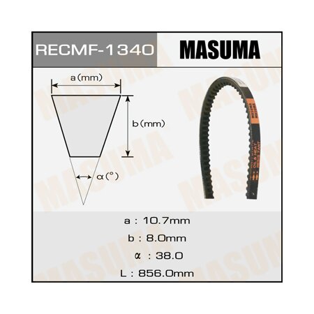 Drive V-Belt Masuma, 10x856 mm, 1340