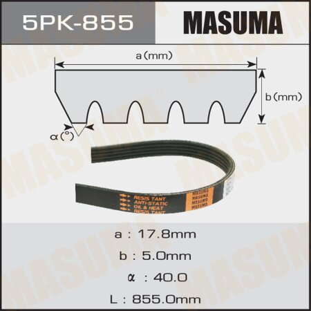 Drive V-Ribbed belt Masuma, 5PK-855